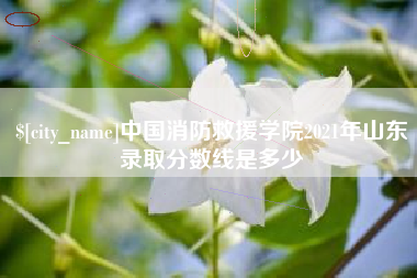 顺德中国消防救援学院2021年山东录取分数线是多少
