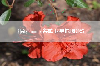 顺德谷歌卫星地图2025