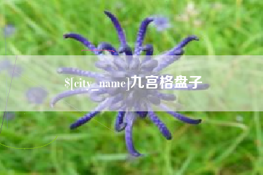 顺德九宫格盘子