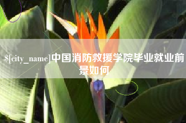顺德中国消防救援学院毕业就业前景如何