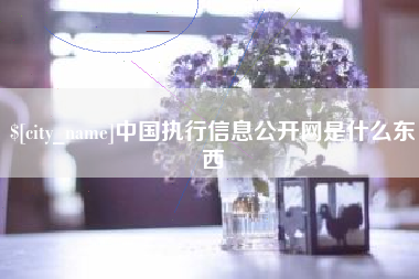 顺德中国执行信息公开网是什么东西