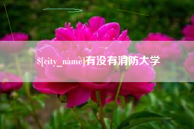 顺德有没有消防大学