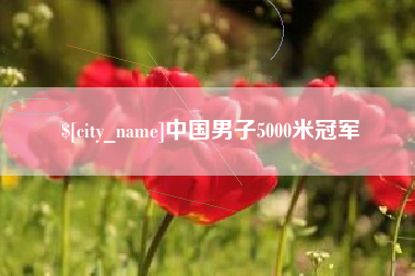 顺德中国男子5000米冠军