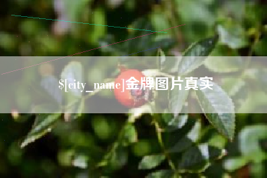 顺德金牌图片真实