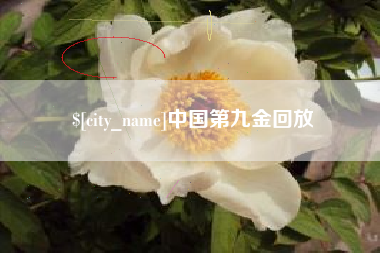 顺德中国第九金回放