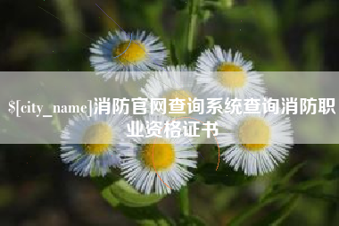 顺德消防官网查询系统查询消防职业资格证书