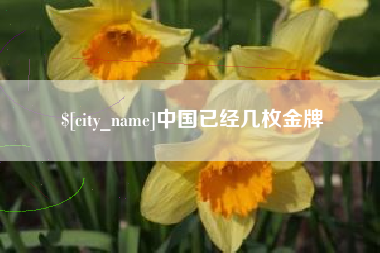 顺德中国已经几枚金牌