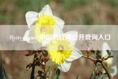 顺德中国执行网公开查询入口