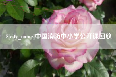 顺德中国消防中小学公开课回放