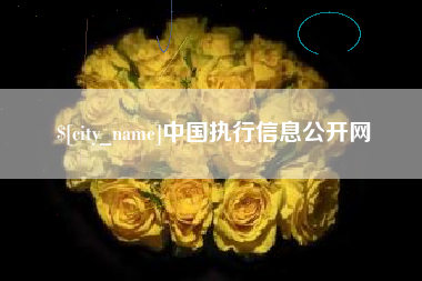 顺德中国执行信息公开网