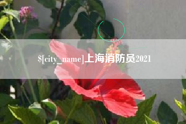 顺德上海消防员2021