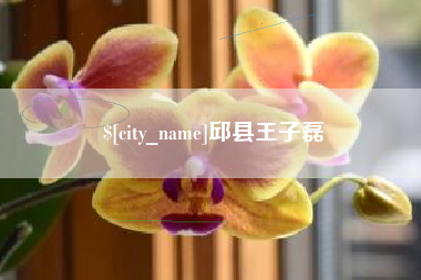 顺德邱县王子磊