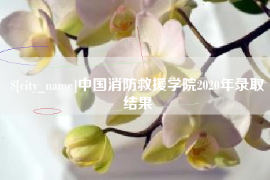 顺德中国消防救援学院2020年录取结果