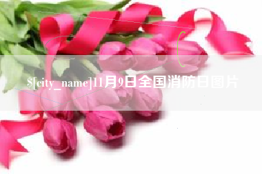 顺德11月9日全国消防日图片
