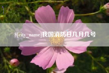 顺德我国消防日几月几号
