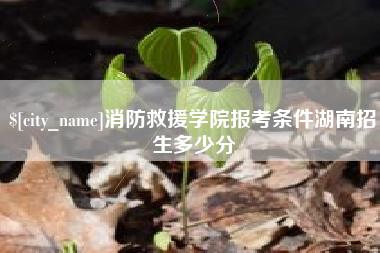 顺德消防救援学院报考条件湖南招生多少分