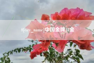 顺德中国金牌18金
