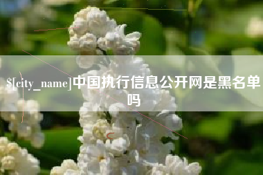 顺德中国执行信息公开网是黑名单吗