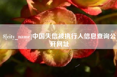 顺德中国失信被执行人信息查询公开网址
