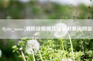 顺德消防设施操作员证书查询网址