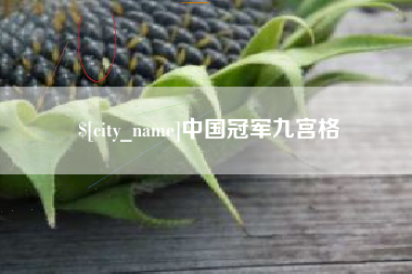 顺德中国冠军九宫格