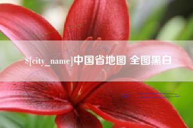 顺德中国省地图 全图黑白