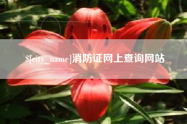 顺德消防证网上查询网站