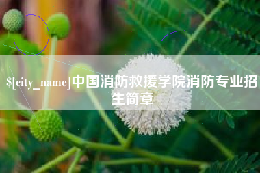 顺德中国消防救援学院消防专业招生简章