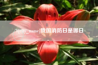 顺德我国消防日是哪日
