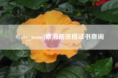 顺德查消防资格证书查询