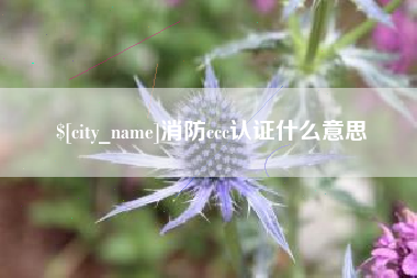 顺德消防ccc认证什么意思