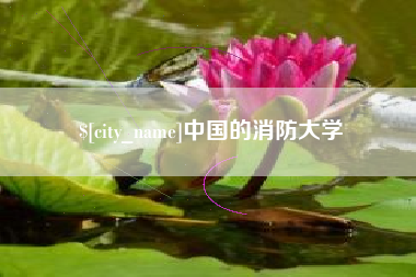 顺德中国的消防大学