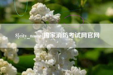 顺德国家消防考试网官网