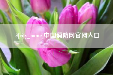 顺德中国消防网官网入口
