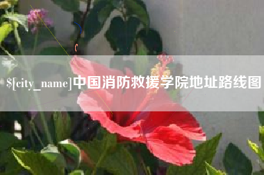 顺德中国消防救援学院地址路线图