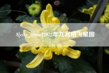 顺德2022年九宫格飞星图