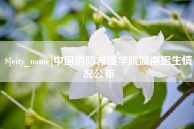 顺德中国消防救援学院湖南招生情况公布