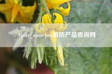 顺德ccc消防产品查询网