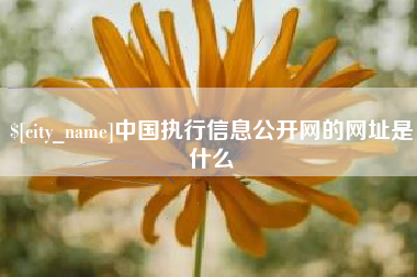 顺德中国执行信息公开网的网址是什么
