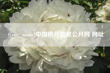 顺德中国执行信息公开网 网址