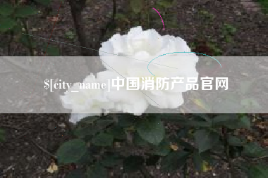 顺德中国消防产品官网