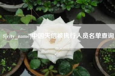 顺德中国失信被执行人员名单查询