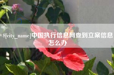 顺德中国执行信息网查到立案信息怎么办