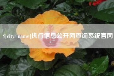 顺德执行信息公开网查询系统官网