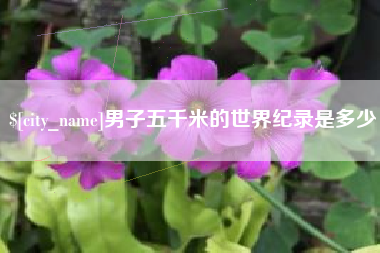 顺德男子五千米的世界纪录是多少