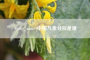 顺德中国九金分别是谁