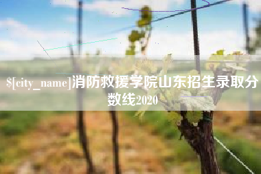 顺德消防救援学院山东招生录取分数线2020