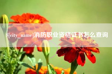 顺德消防职业资格证书怎么查询