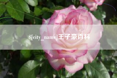 顺德王子豪百科