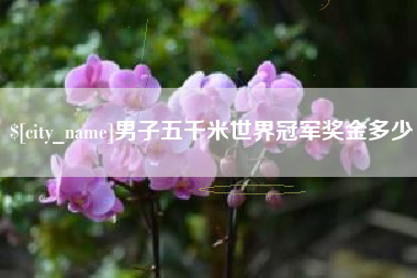 顺德男子五千米世界冠军奖金多少
